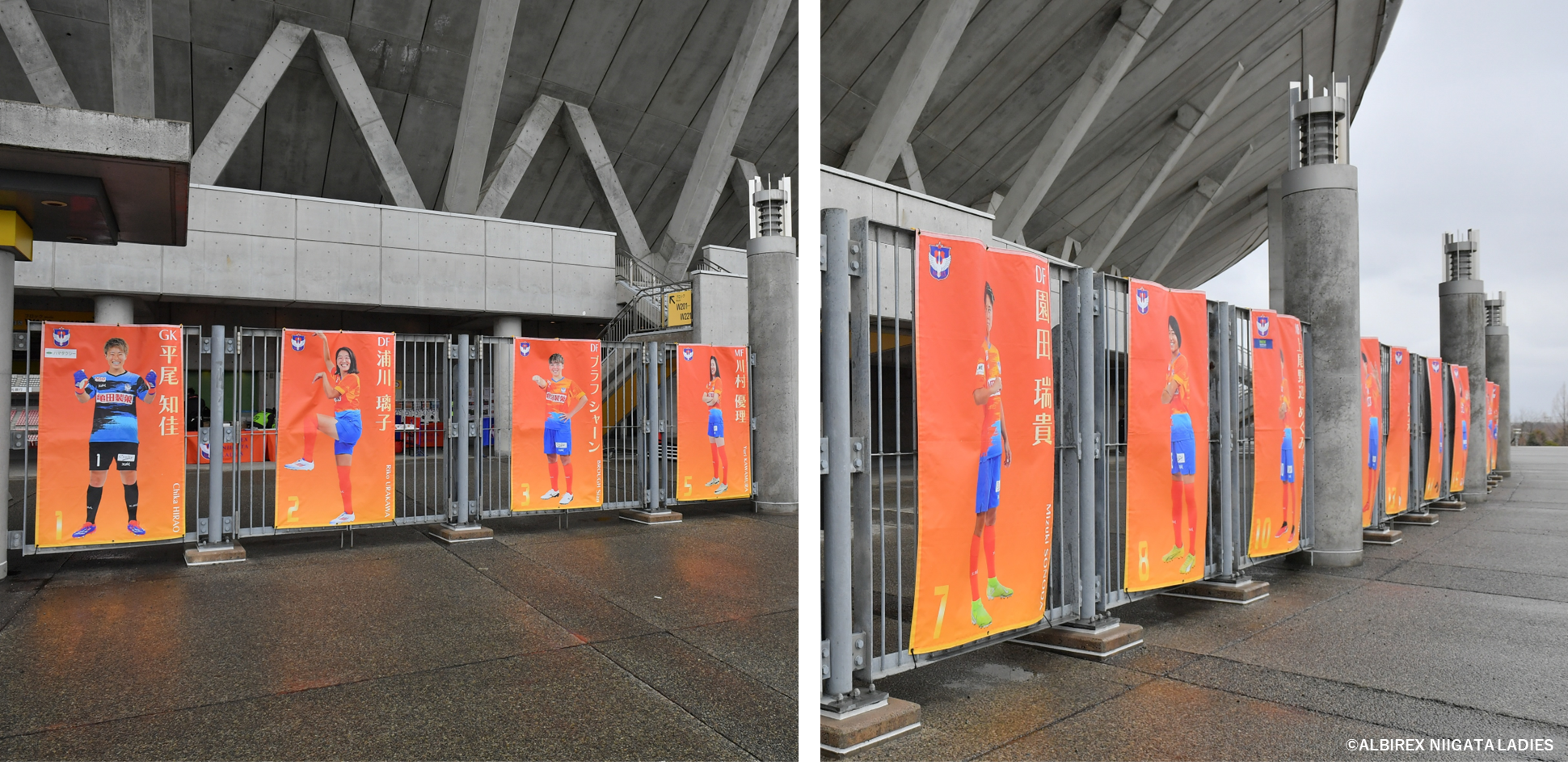 HATTRICK（ハットトリック）-選手の想いをファンへ届ける公式