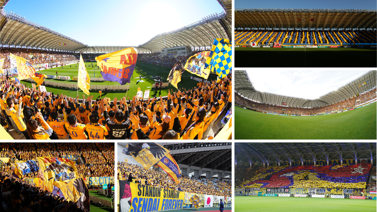 HATTRICK（ハットトリック）-選手の想いをファンへ届ける公式