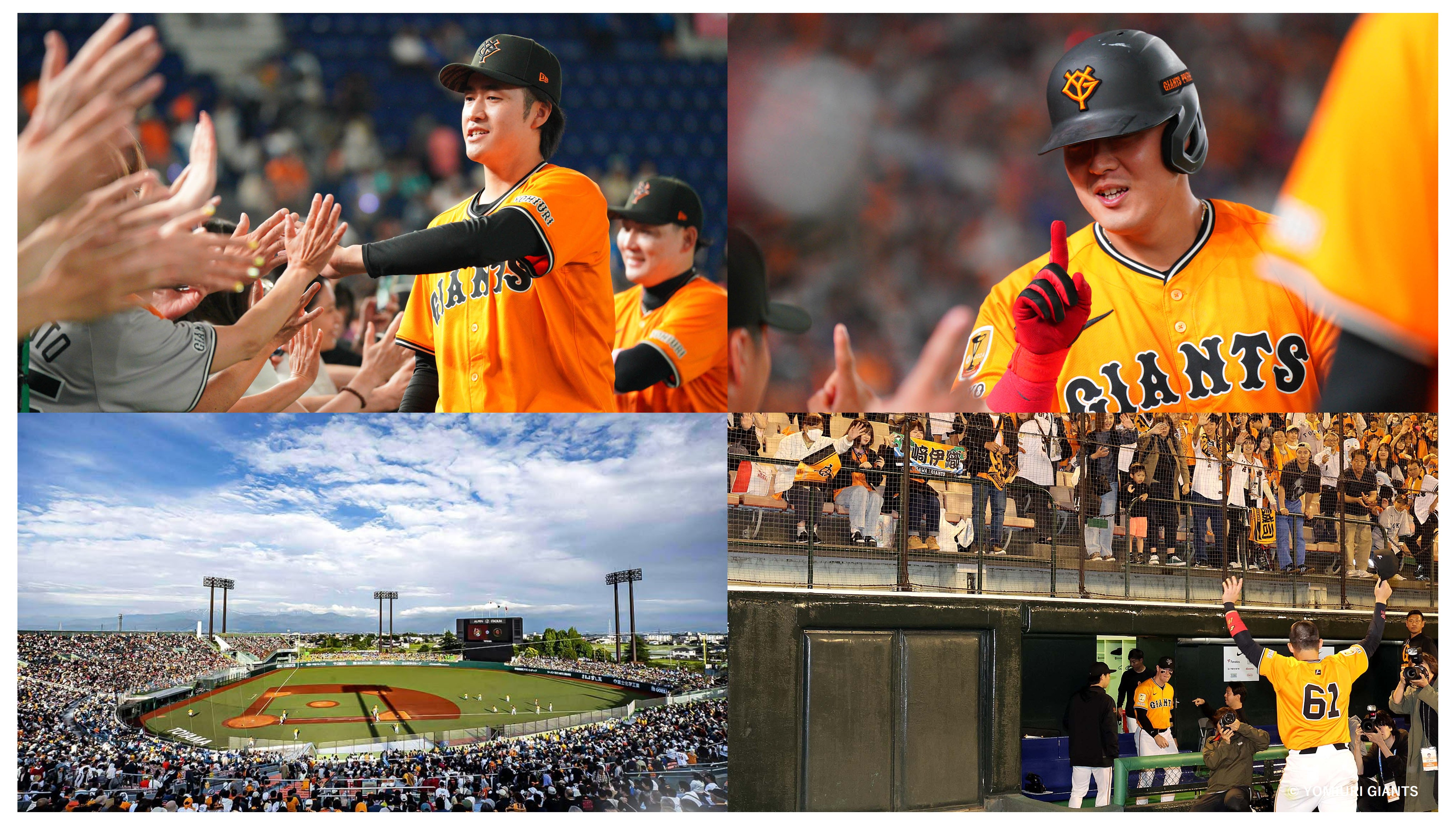 HATTRICK（ハットトリック）-選手の想いをファンへ届ける公式