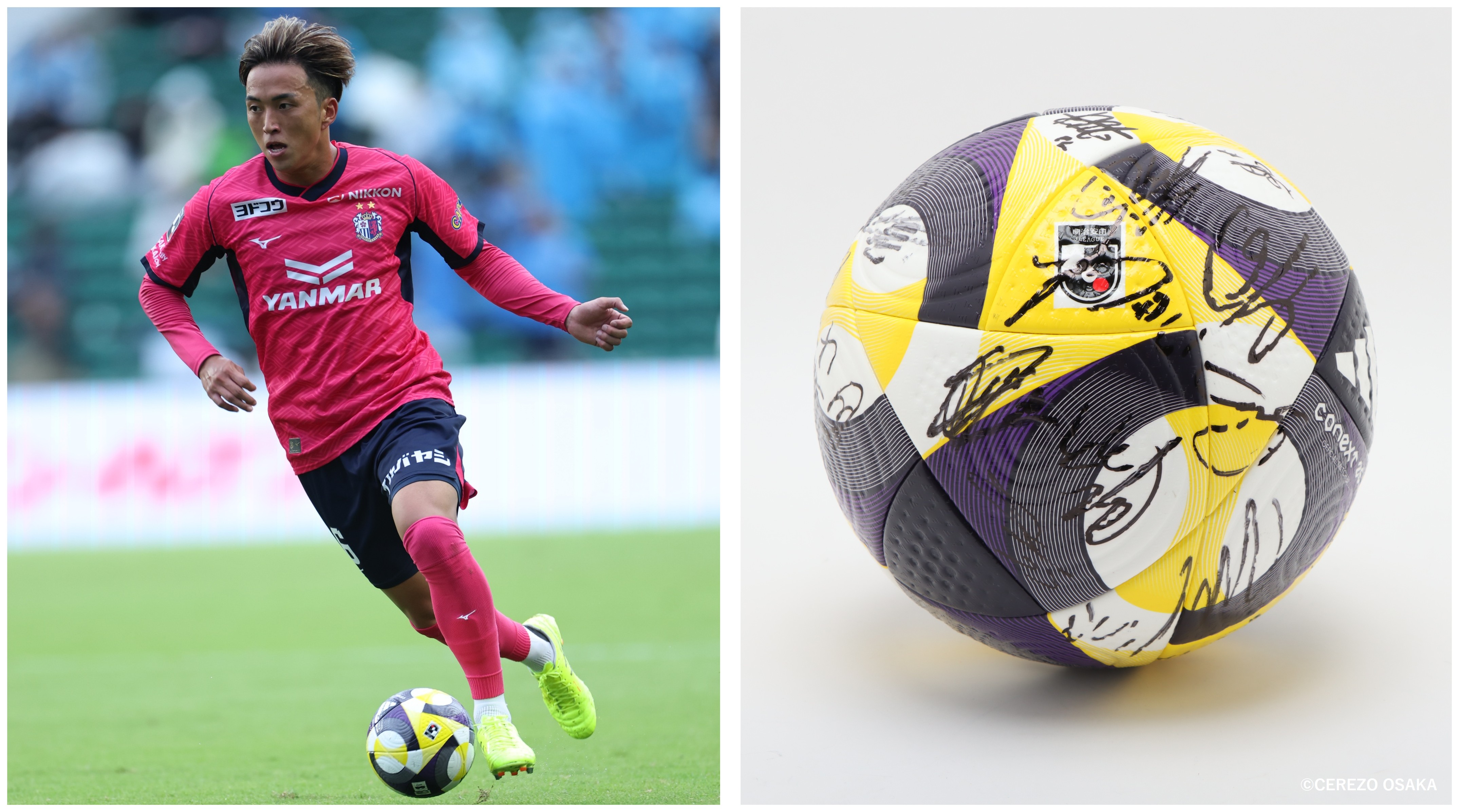 【セレッソ大阪】激レアコンフィット【BGパトゥム戦限定品】 セレッソ大阪】激レアコンフィット【BGパトゥム戦限定品】 セレッソ