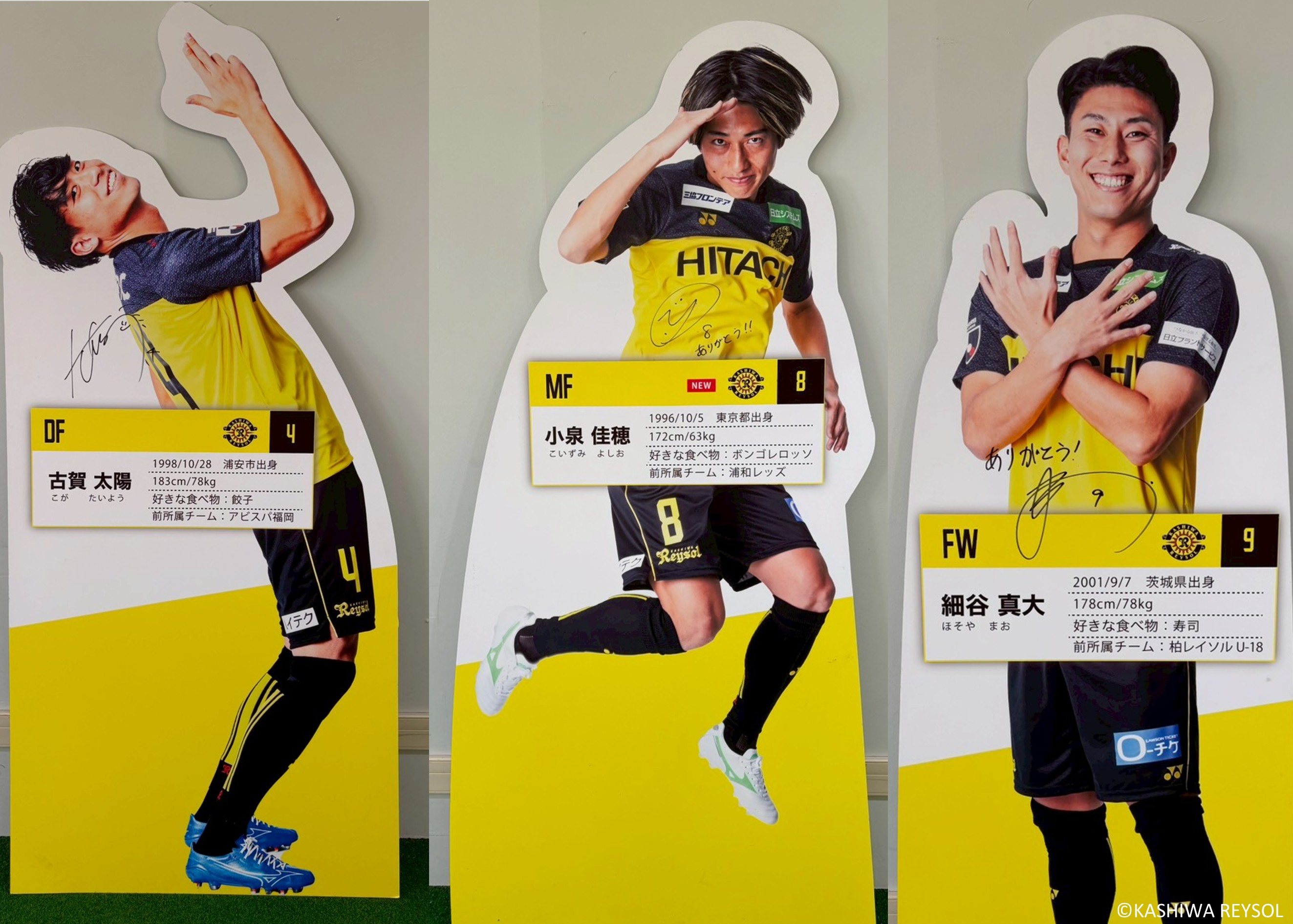 レイソル 横断幕 サイン 1600 × 1000 レイソル 横断幕 サイン 1600 × 1000 新商品特集｜柏レイソル