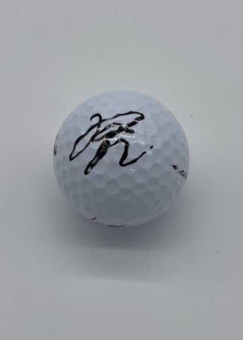 勝みなみプロ 直筆サイン入り オウンネームボール
