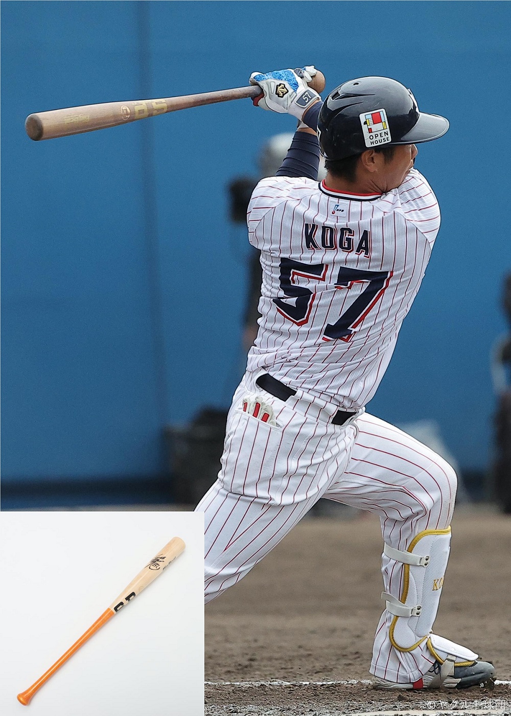 東京ヤクルトスワローズ 古賀優大 直筆サイン入りバット HATTRICK（ハットトリック）-選手の想いをファンへ届ける公式