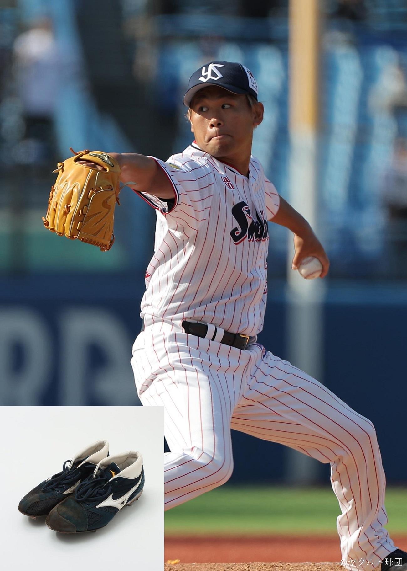 ヤクルト 宮本丈選手 サイン入りスパイク HATTRICK（ハットトリック