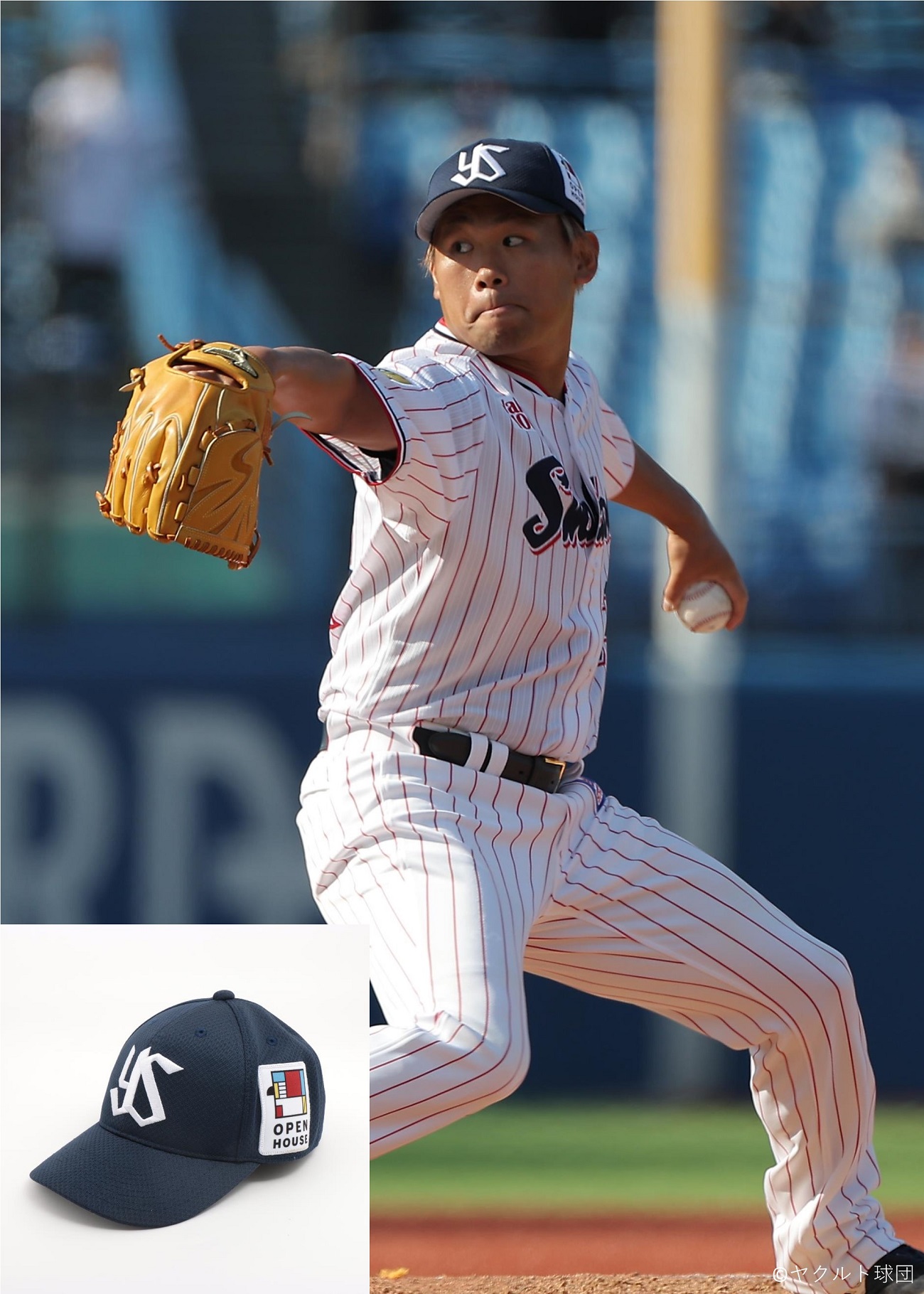 HATTRICK（ハットトリック）-挑戦者の想いをファンへ届ける公式