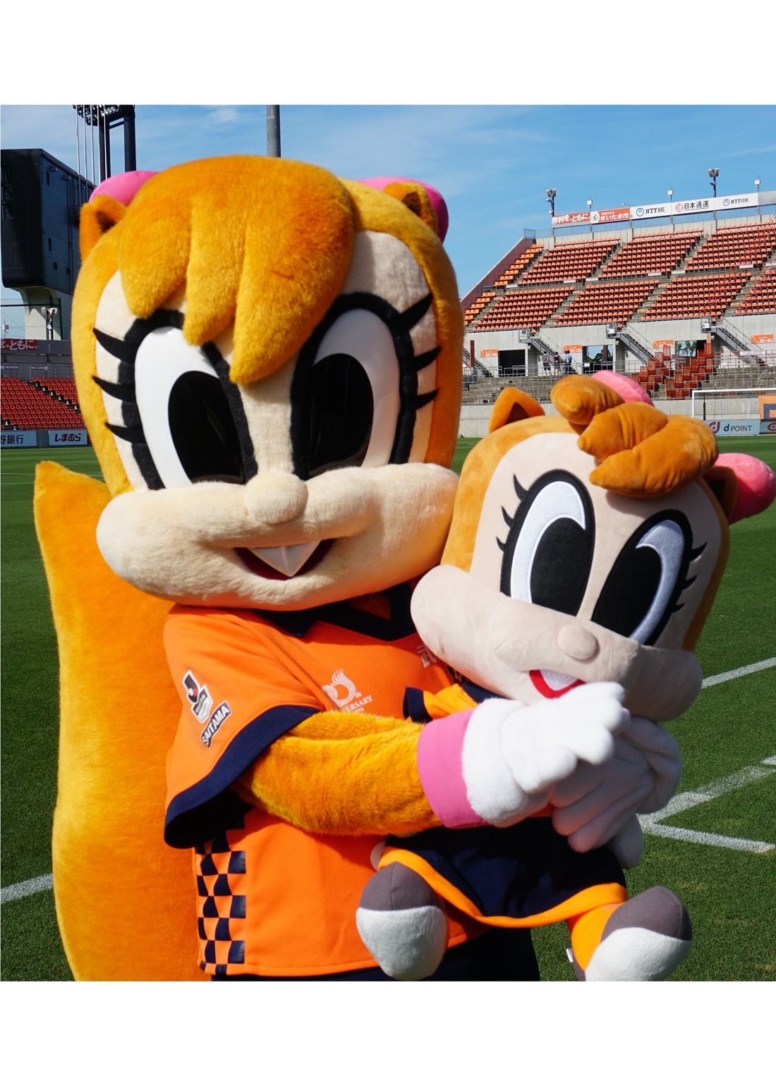 アルディージャ　ミーヤ　ぬいぐるみ　特大 大宮アルディージャ ミーヤぬいぐるみBIG アルディージャ ミーヤ