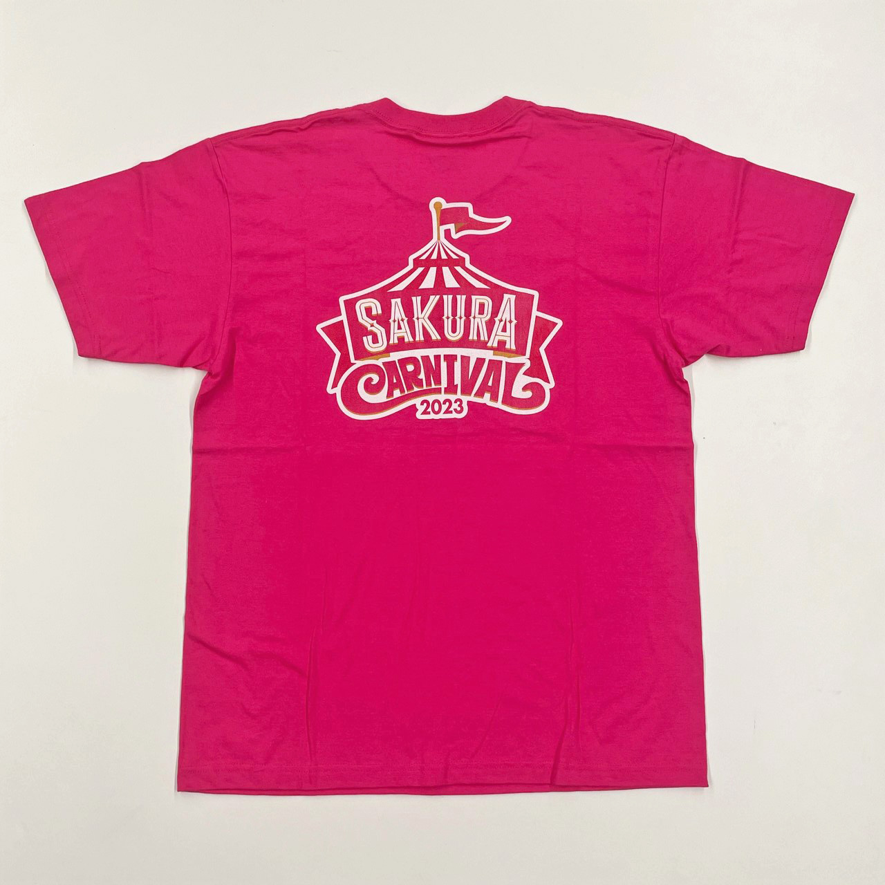 HATTRICK（ハットトリック）-挑戦者の想いをファンへ届ける公式