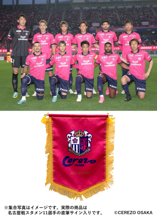 HATTRICK（ハットトリック）-選手の想いをファンへ届ける公式