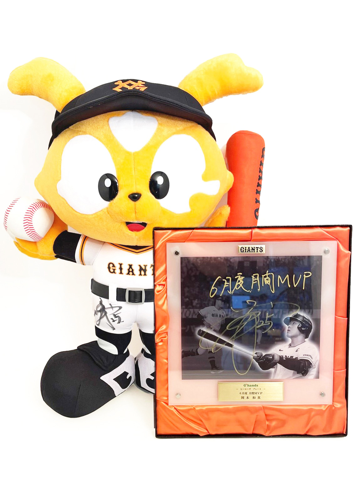 HATTRICK（ハットトリック）-挑戦者の想いをファンへ届ける公式