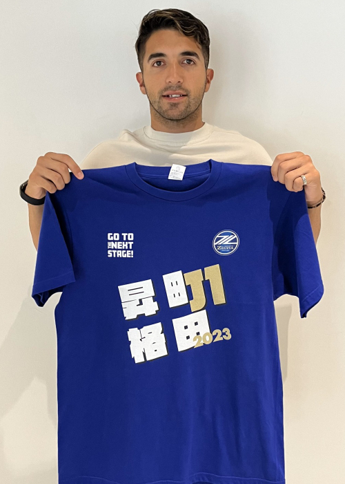 町田ゼルビア J1昇格記念Tシャツ サイズＬ 町田ゼルビア J1昇格記念Tシャツ サイズL
