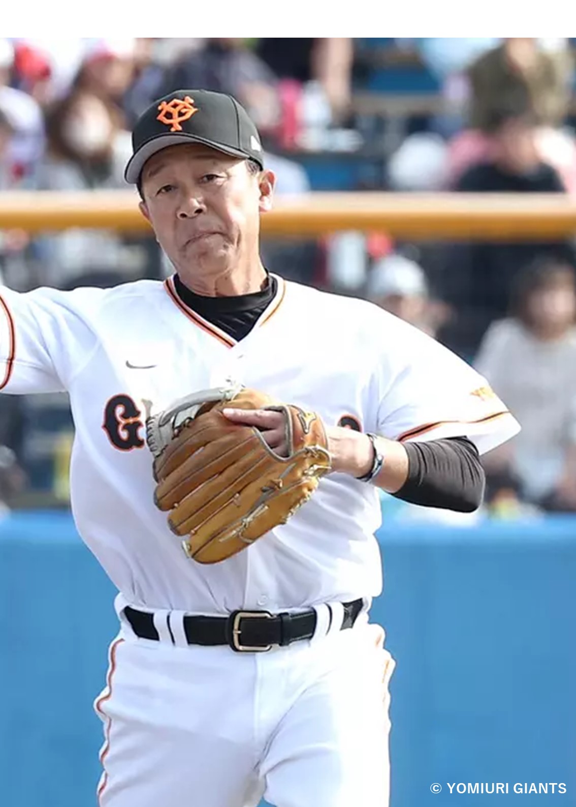巨人川相コーチ現役時代実使用バット背番号6 HATTRICK（ハットトリック）-選手の想いをファンへ届ける公式