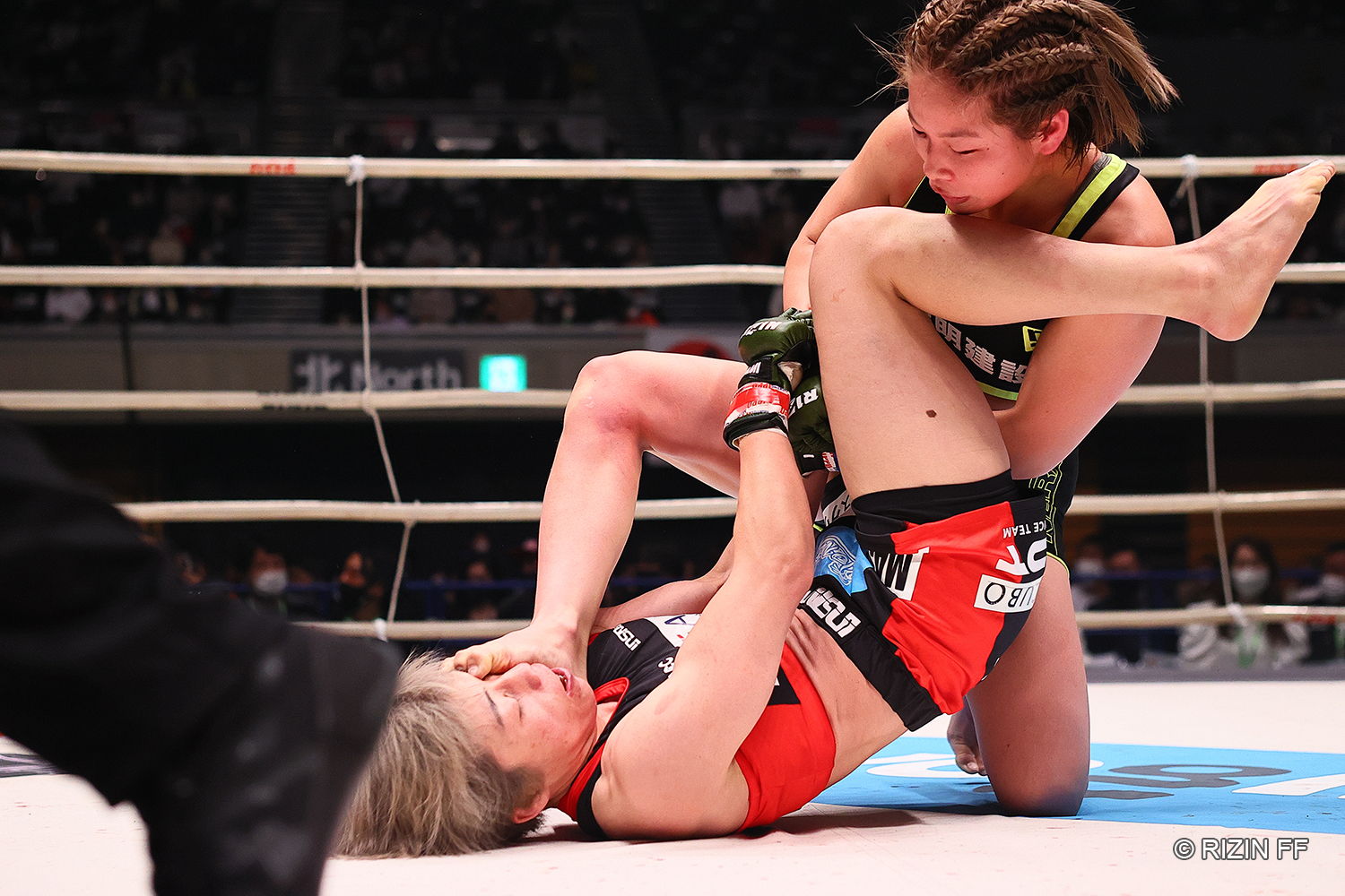 HATTRICK（ハットトリック）-選手の想いをファンへ届ける公式