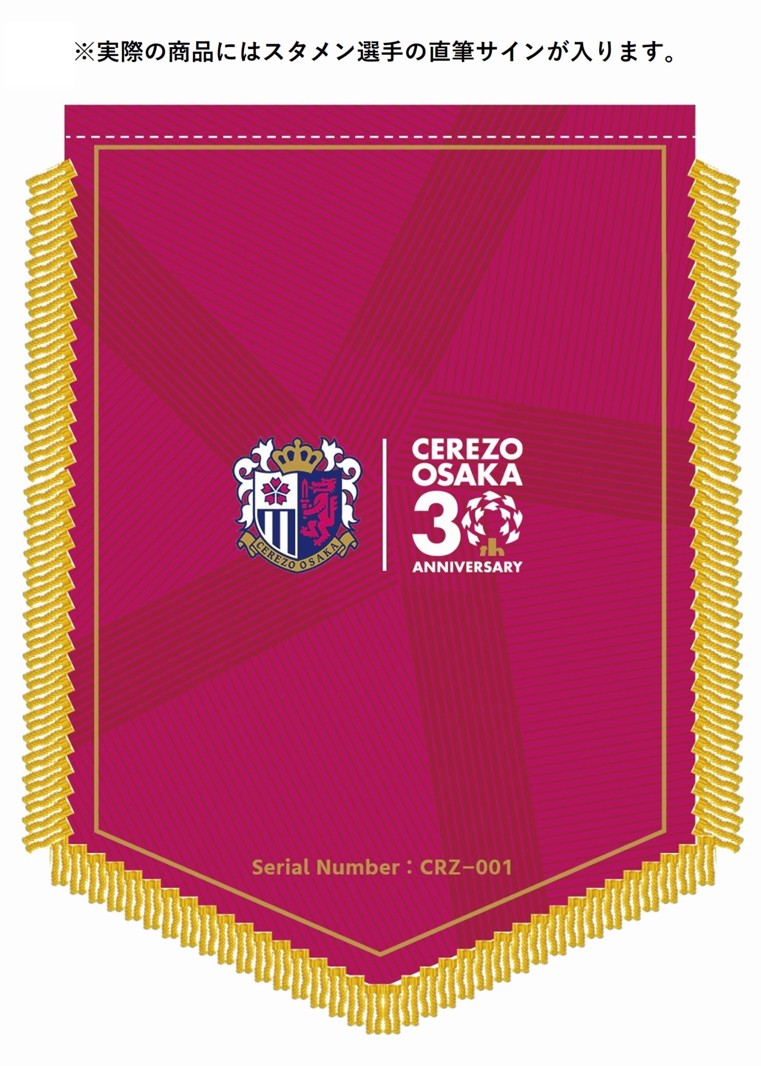 シュツットガルト1893年スタメン直筆サイン入りペナント HATTRICK