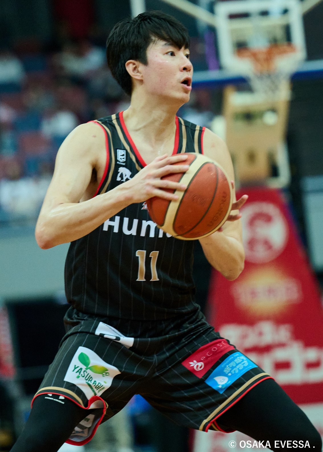 HATTRICK（ハットトリック）-選手の想いをファンへ届ける公式