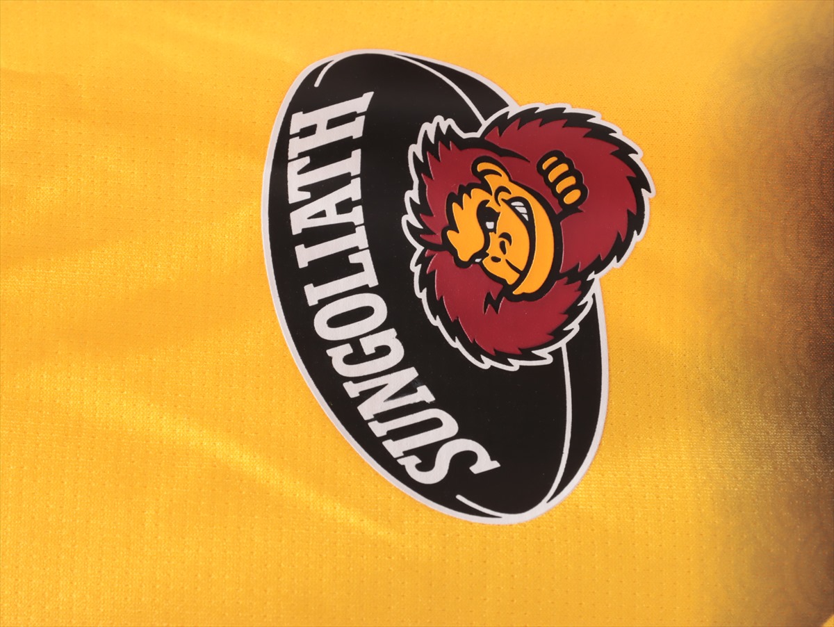 HATTRICK（ハットトリック）-選手の想いをファンへ届ける公式