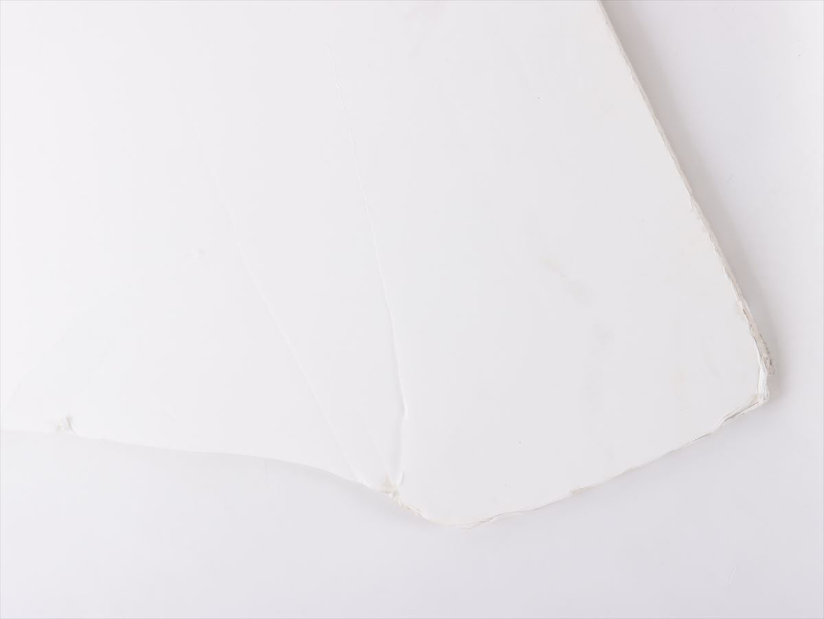 HATTRICK（ハットトリック）-選手の想いをファンへ届ける公式