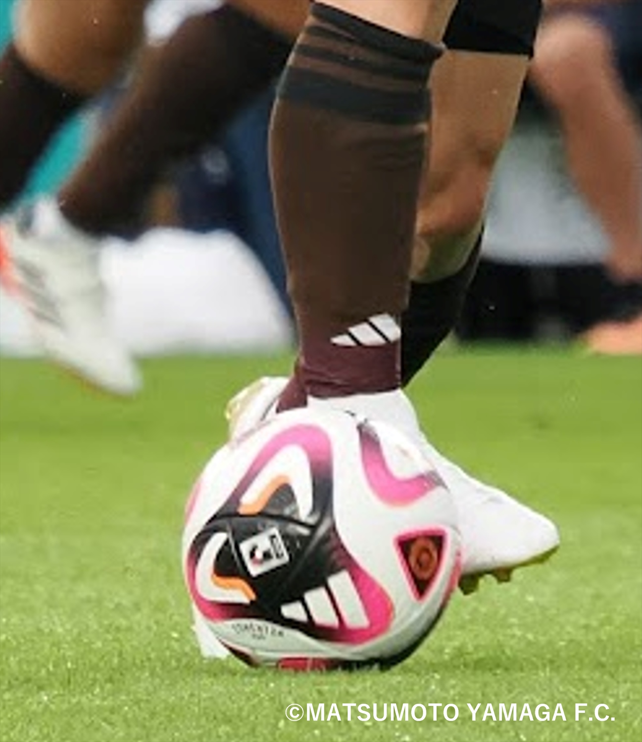 HATTRICK（ハットトリック）-選手の想いをファンへ届ける公式