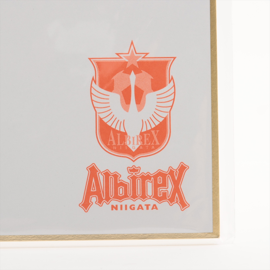 シドニー五輪アジア予選メンバー 直筆サイン色紙 シドニー五輪アジア予選メンバー 直筆サイン色紙 シドニー五輪