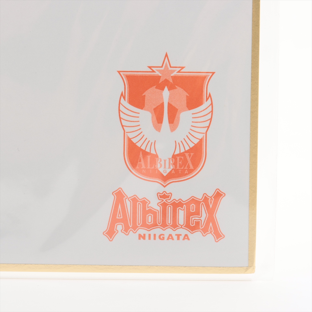 【新品・紙タグ付き】アルシャビン ＃１０ ロシア代表 ２０１２（H） HATTRICK（ハットトリック）-選手の想いをファンへ届ける公式