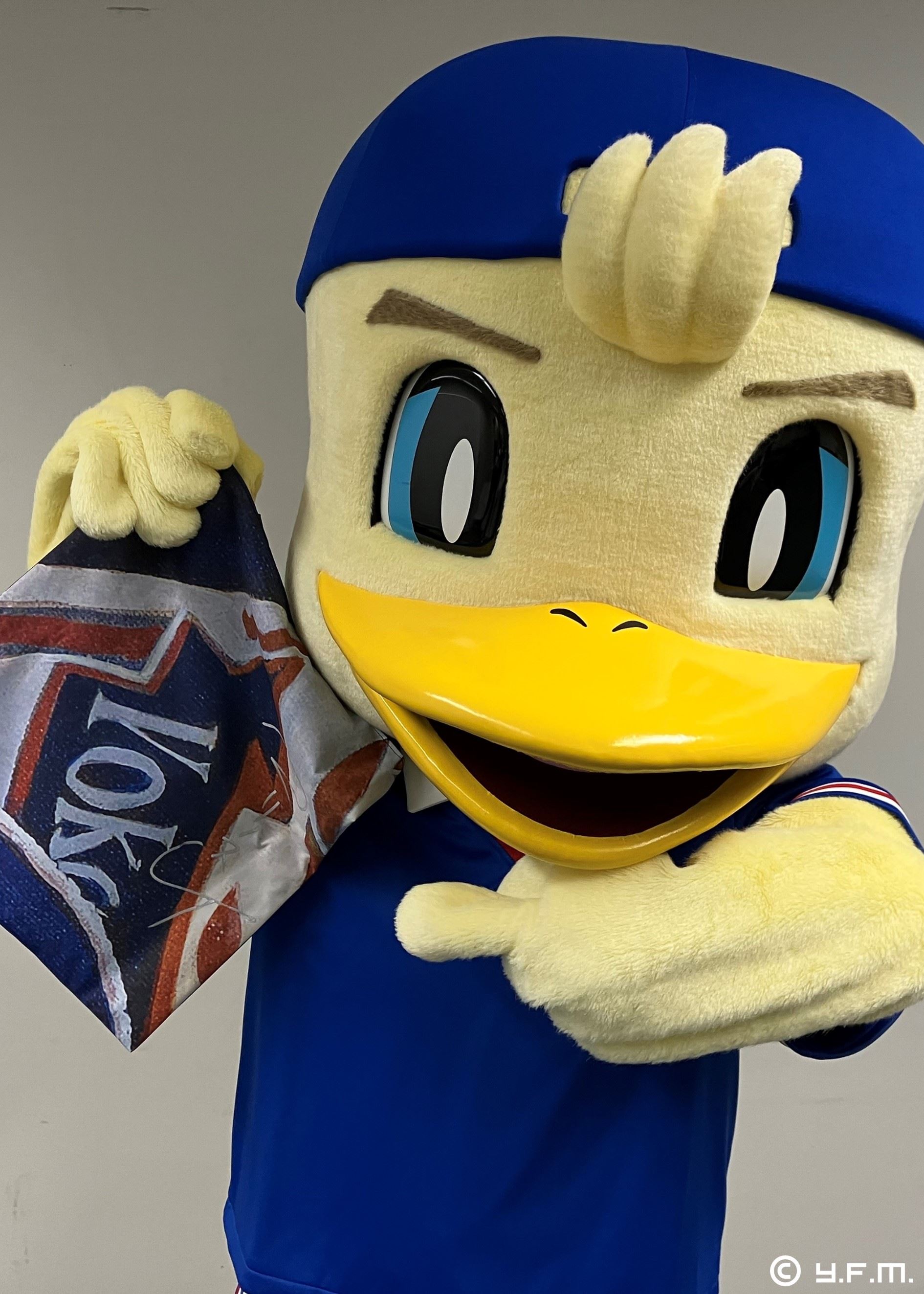HATTRICK(ハットトリック)-選手の想いをファンへ届ける公式オークション! | 入札ページ