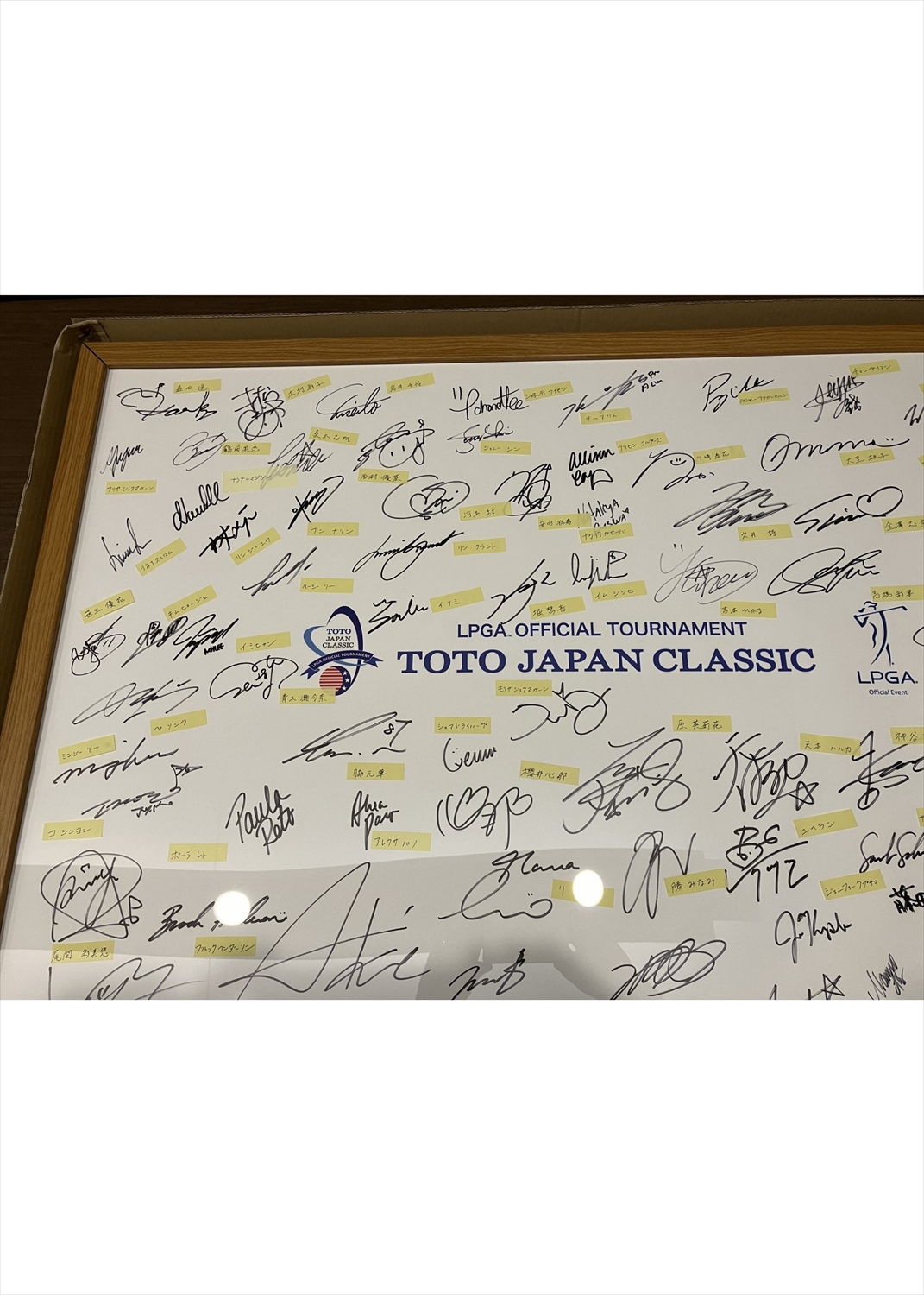 HATTRICK（ハットトリック）-選手の想いをファンへ届ける公式