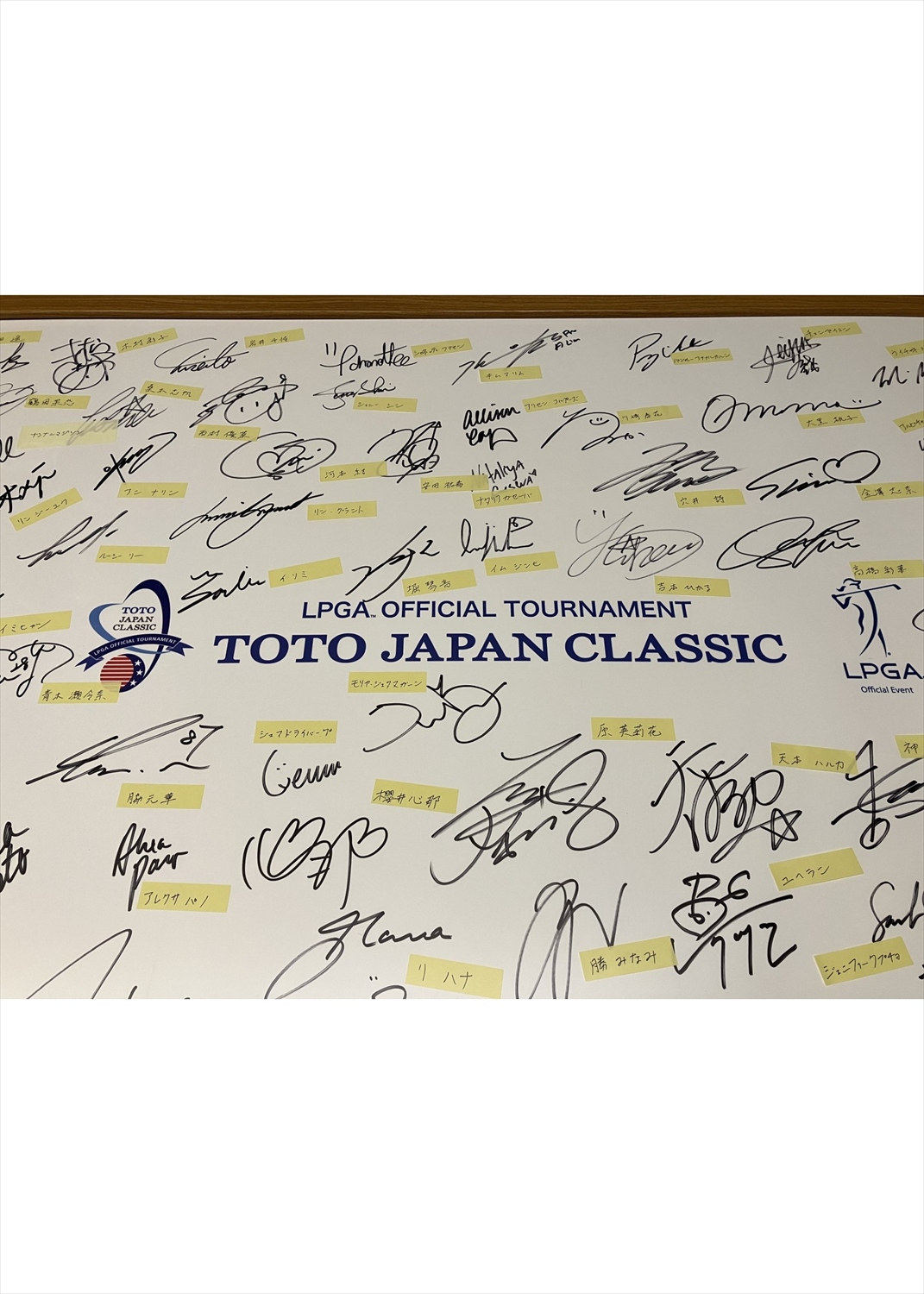 HATTRICK（ハットトリック）-選手の想いをファンへ届ける公式