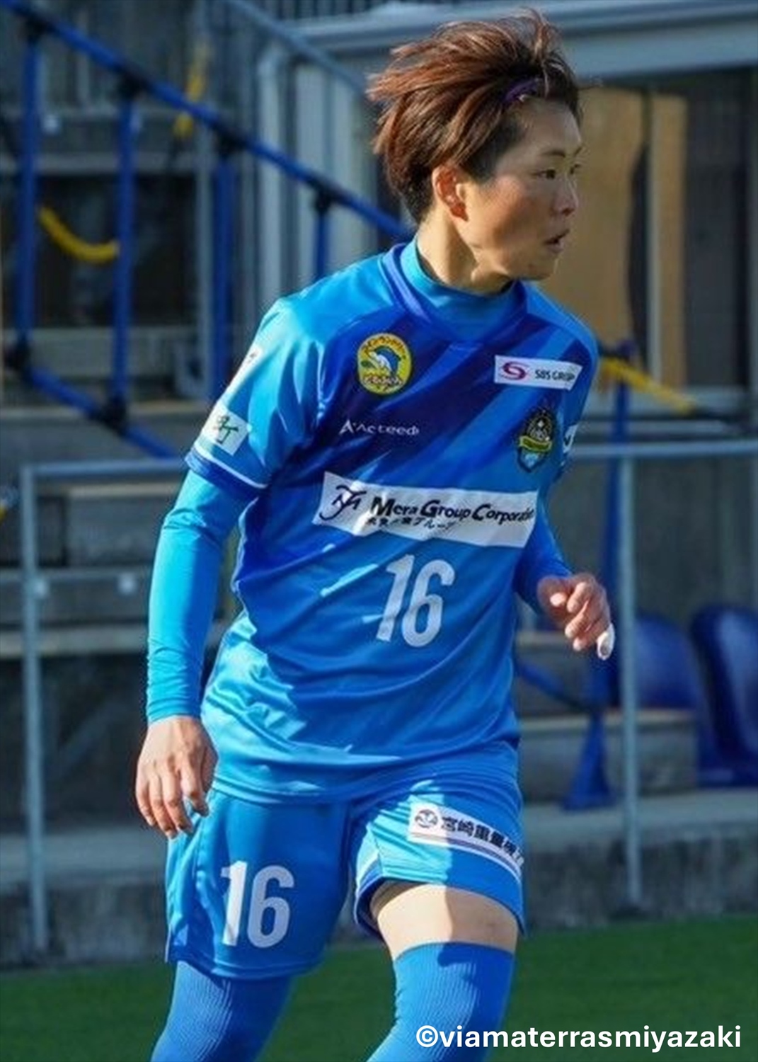 デファルコ オーセンティックユニフォーム Amazon.co.jp: HALASRTB