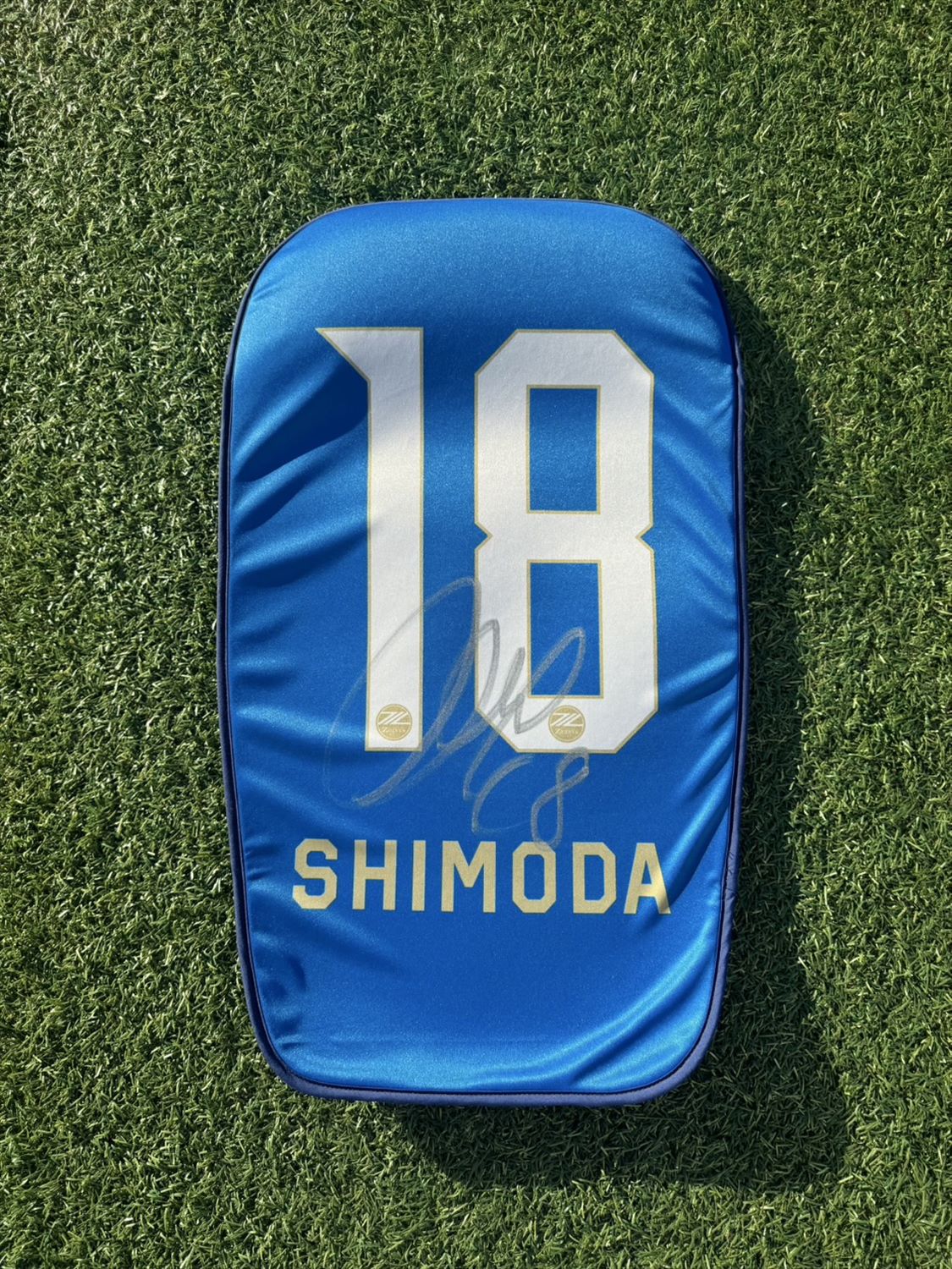 2014年FC町田ゼルビア 選手サイン入りボール 祝J2優勝！！ 非売品 実使用 町田ゼルビア 選手サイン入りボール