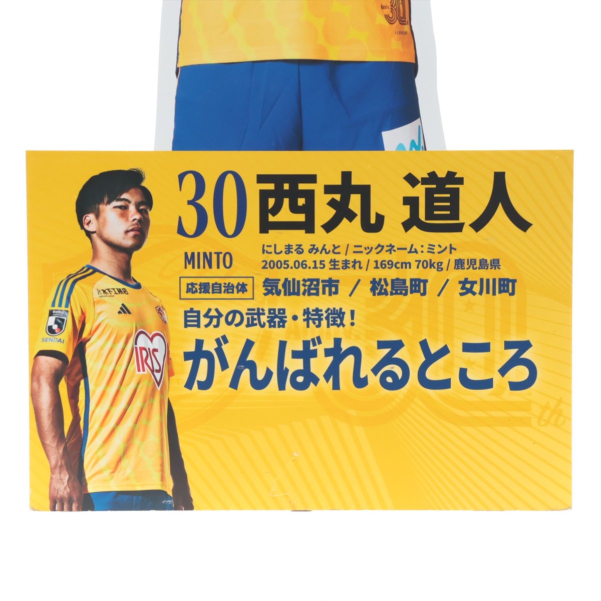 HATTRICK（ハットトリック）-挑戦者の想いをファンへ届ける公式