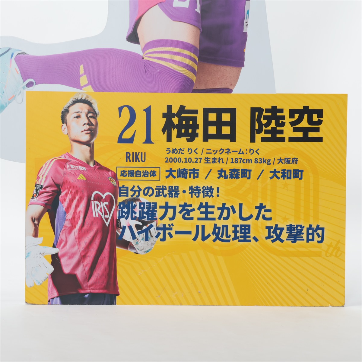 パタパタ HATTRICK（ハットトリック）-選手の想いをファンへ届ける公式