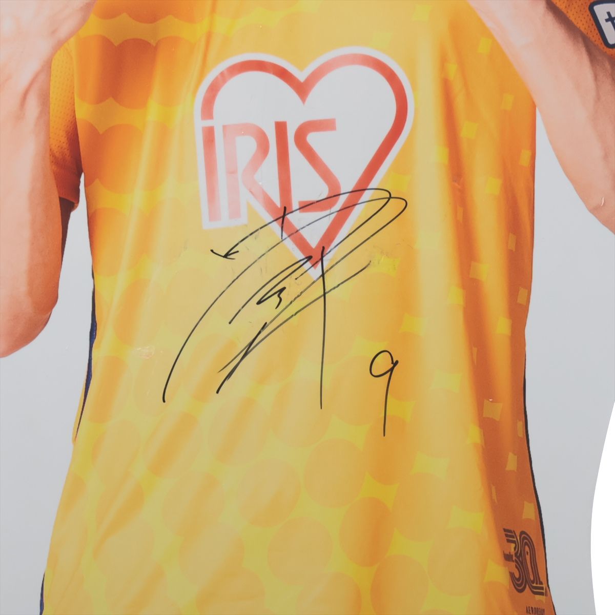 HATTRICK（ハットトリック）-選手の想いをファンへ届ける公式