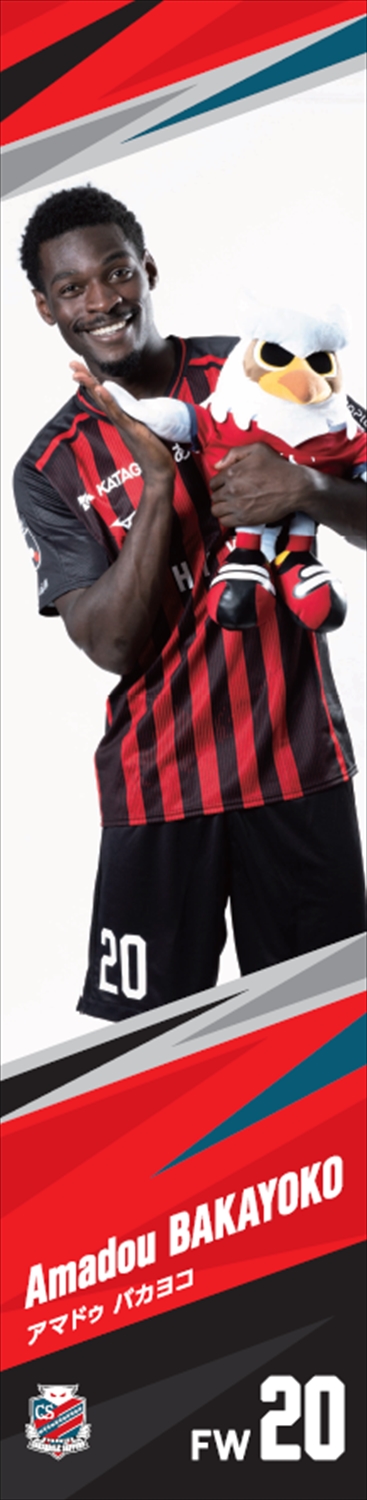 トヨタ ディーラー 特大 のぼり 横断幕 約500×90㎝ Auris 非売品