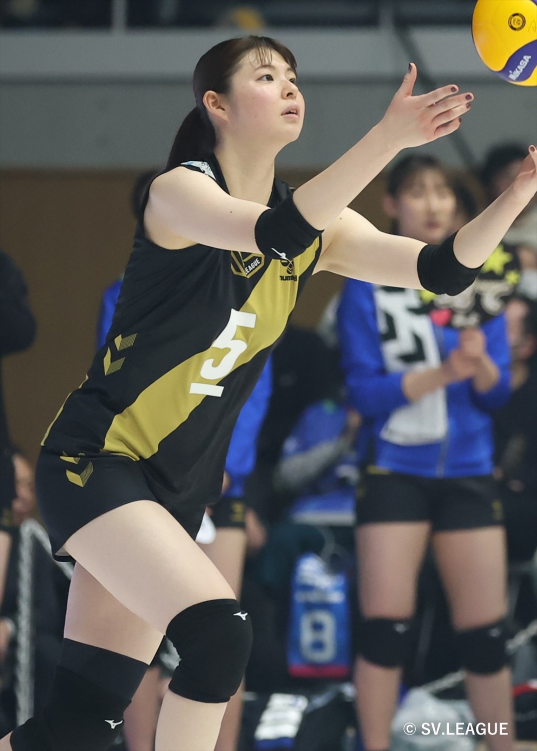 HATTRICK（ハットトリック）-選手の想いをファンへ届ける公式