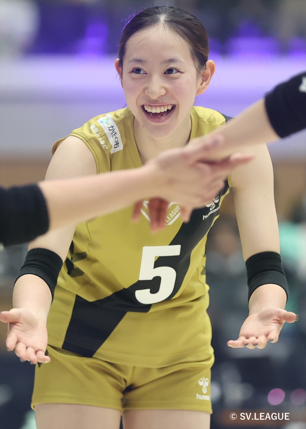 新品！オーセンティックユニフォーム TEAM NICHIKA 2024-25 新品！オーセンティックユニフォーム TEAM NICHIKA 2024-25