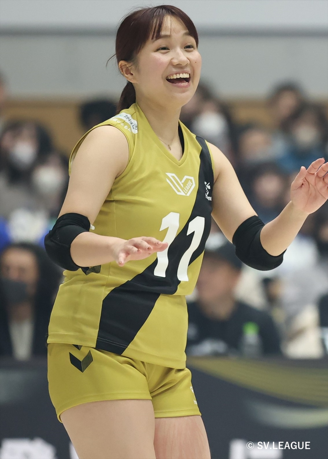 新品！オーセンティックユニフォーム TEAM NICHIKA 2024-25 新品！オーセンティックユニフォーム TEAM NICHIKA 2024-25