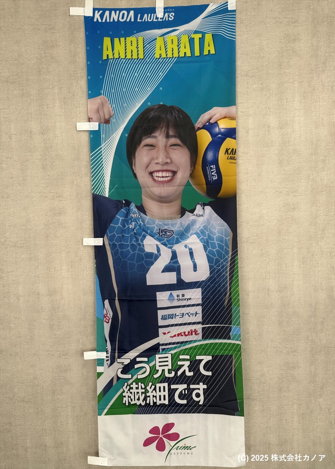直筆サイン入り  ともやんと一緒に学ぶ テクニック編   非売品 未開封 直筆サイン入り ともやんと一緒に学ぶ テクニック編 非売品 未