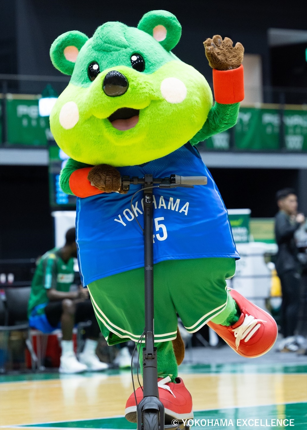 HATTRICK（ハットトリック）-選手の想いをファンへ届ける公式