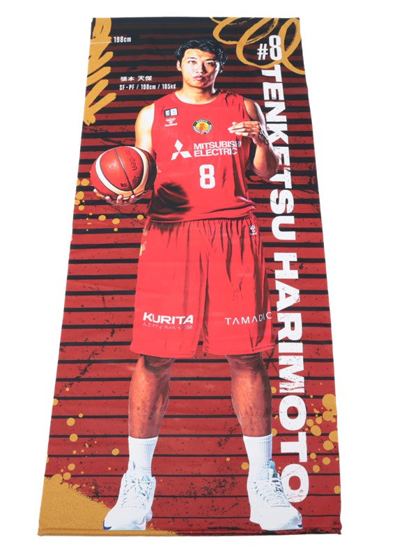 Bリーグ名古屋ダイヤモンドドルフィンズ ダイヤモンドドルージュ 直筆サイン色紙 名古屋ダイヤモンドドルフィンズ 張本選手 サインボール&サイン