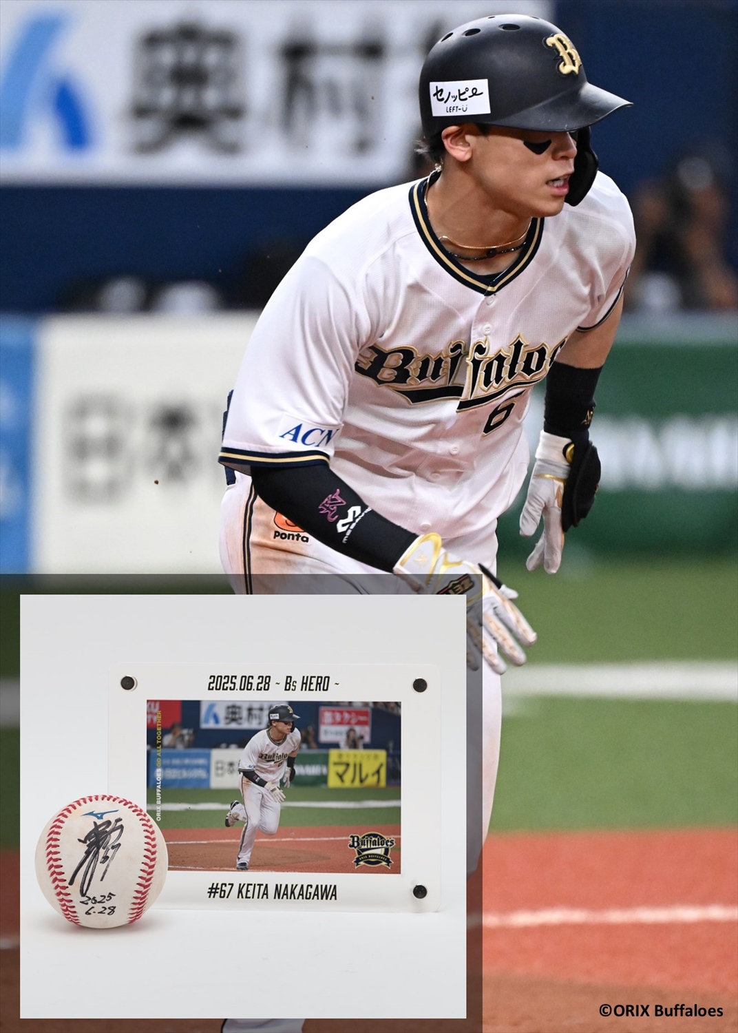 オリックス　頓宮選手　実使用 オリックス・バファローズ #44 頓宮 裕真 選手 実使用NPBバット
