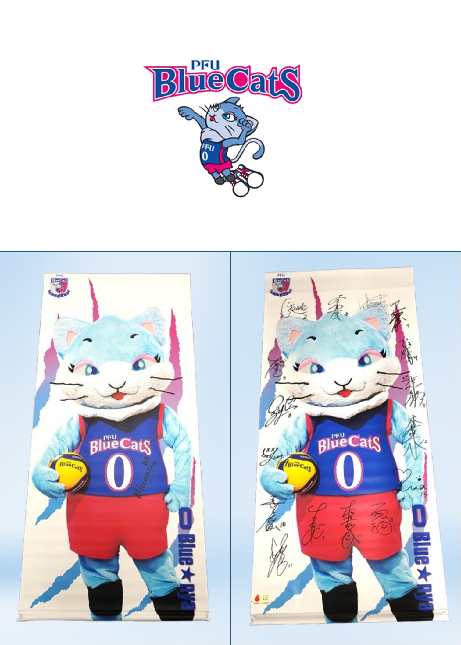 PFU BlueCats  細沼綾　サイン入り　ユニフォーム　　サイズ:4XL PFU BlueCats 細沼綾 サイン入り ユニフォーム サイズ:4XL