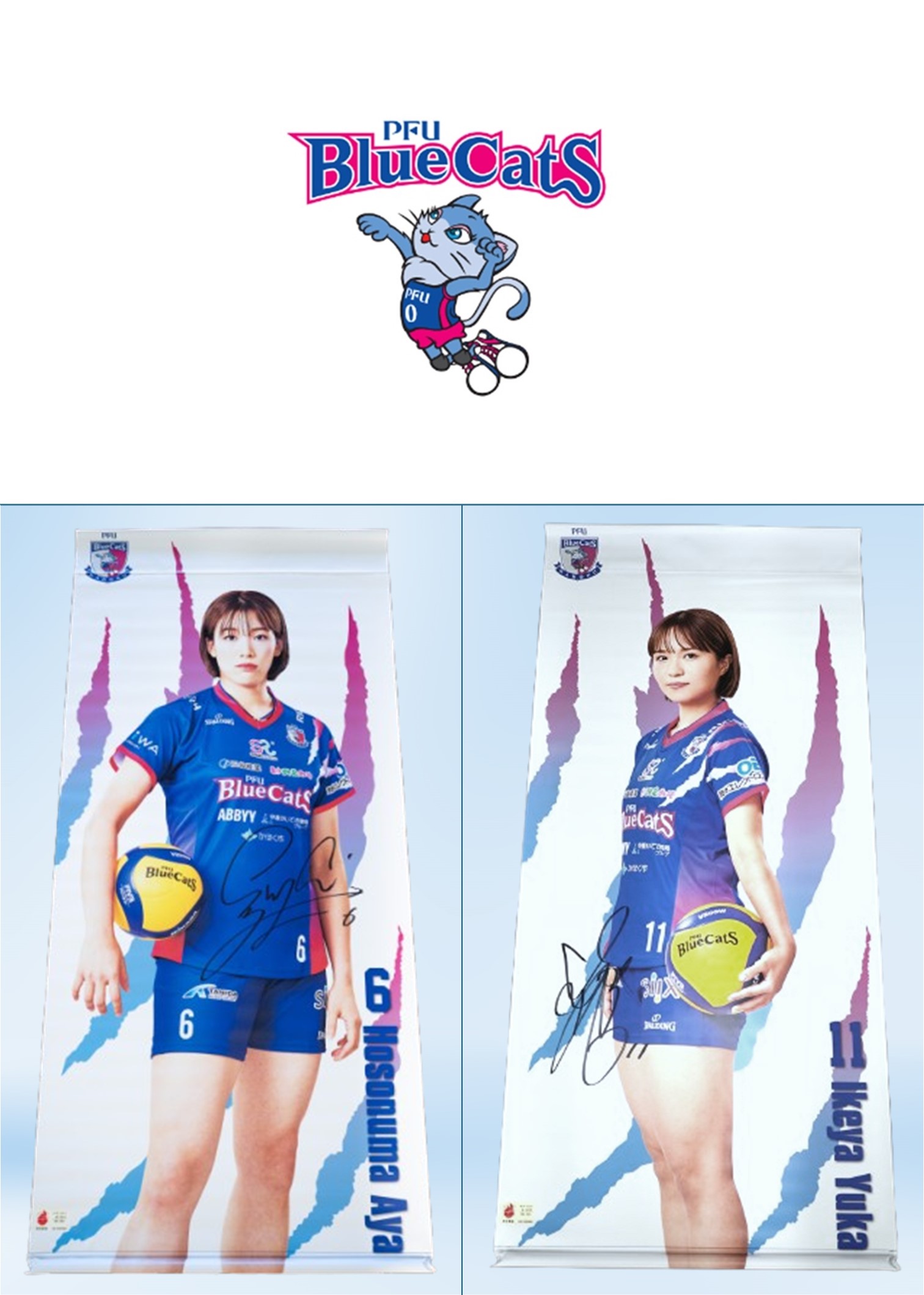 HATTRICK（ハットトリック）-選手の想いをファンへ届ける公式