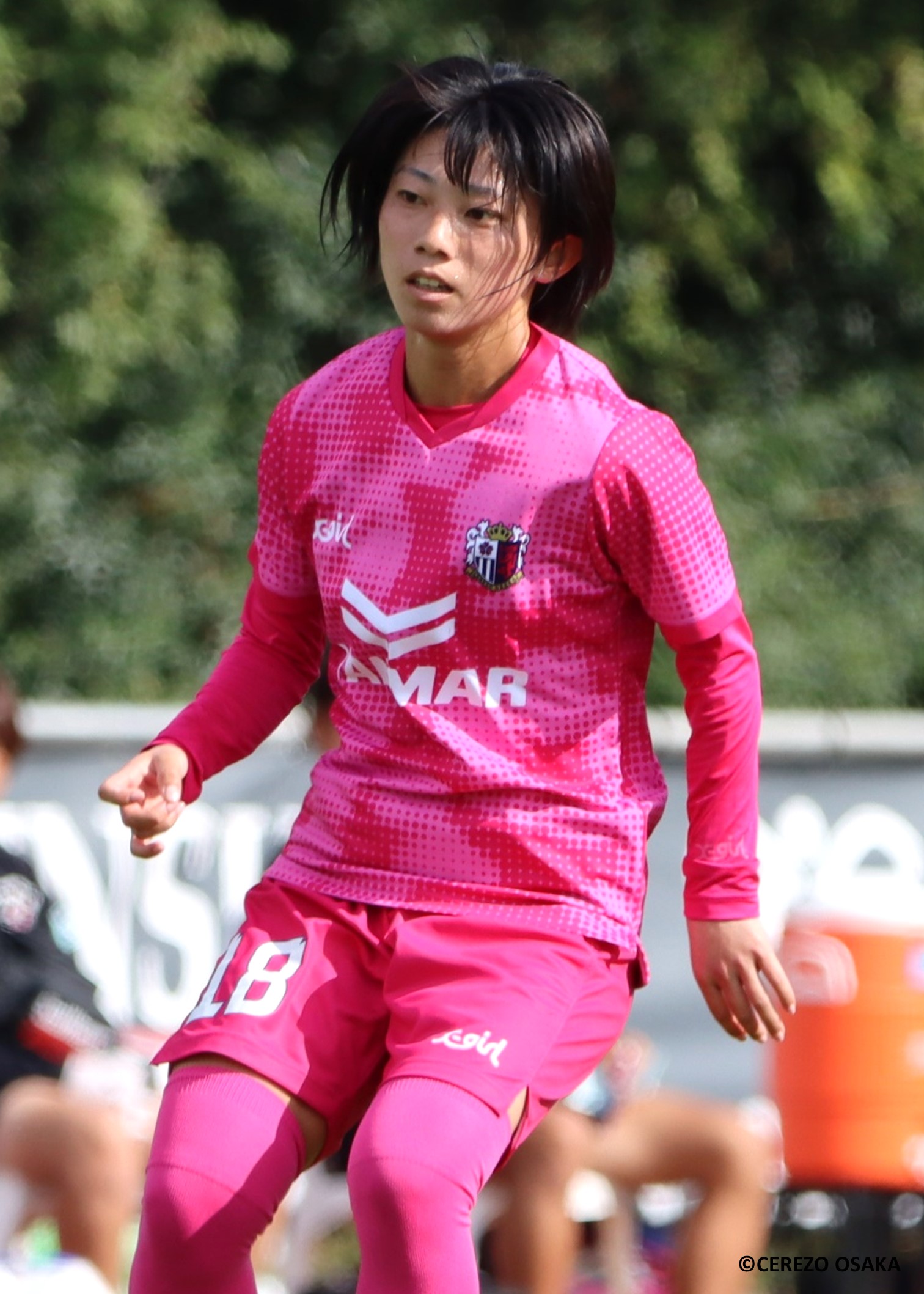 新作 2025 セレッソ大阪　ヤンマーレディース ユニフォーム 2025/26シーズン セレッソ大阪ヤンマーレディース 新