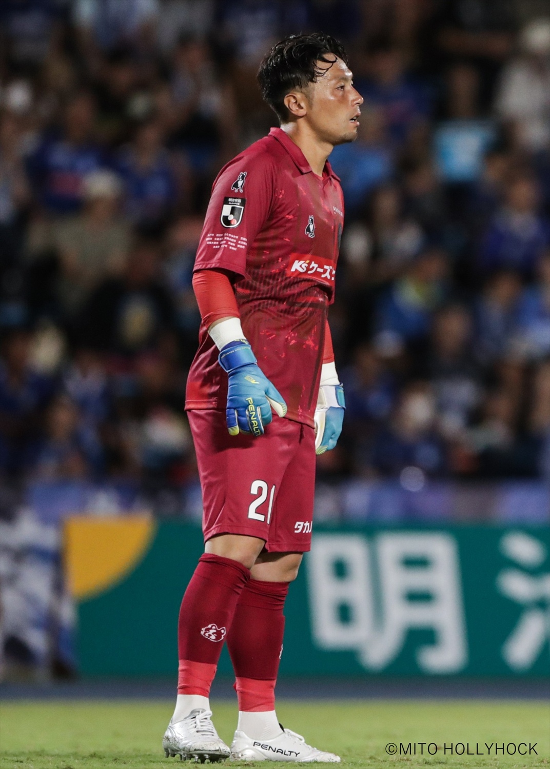 HATTRICK（ハットトリック）-選手の想いをファンへ届ける公式