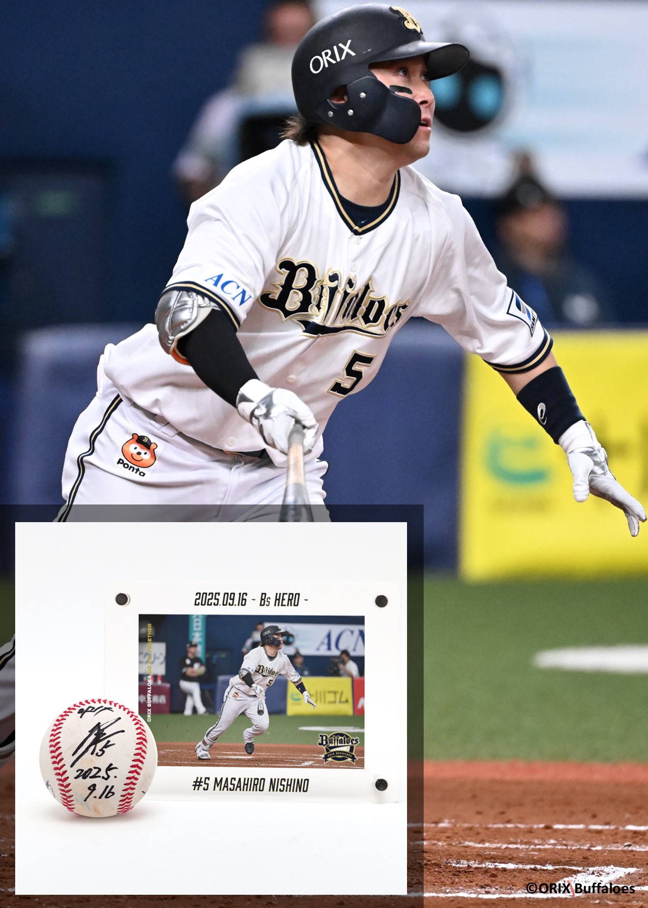 福浦和也選手 実使用 サイン入りバット 福浦和也選手 実使用 サイン