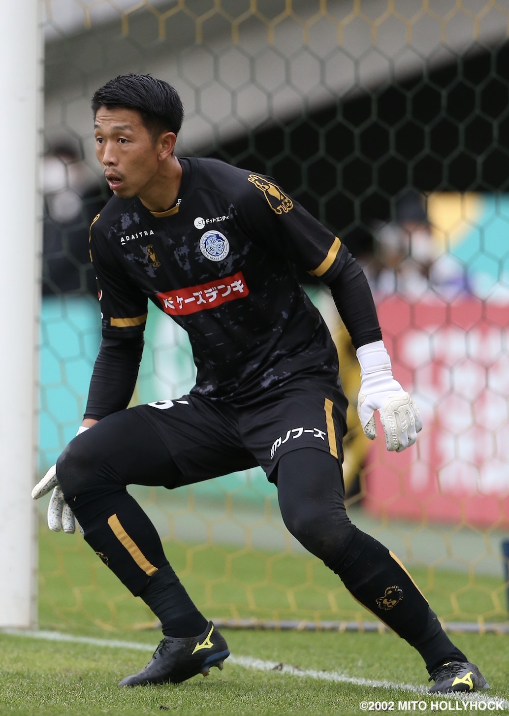 HATTRICK（ハットトリック）-選手の想いをファンへ届ける公式