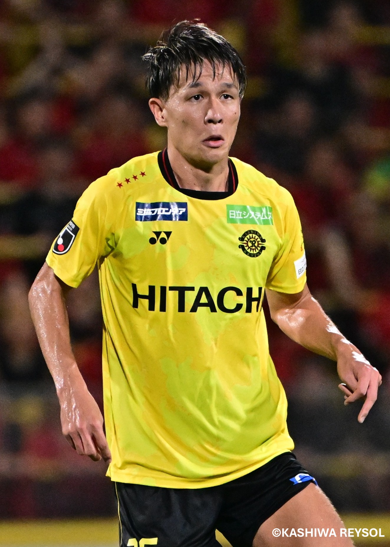 【限定】柏レイソル 2025シーズンモデル リミテッドユニフォーム 柏レイソル 2025シーズンモデル リミテッドユニフォーム 2025