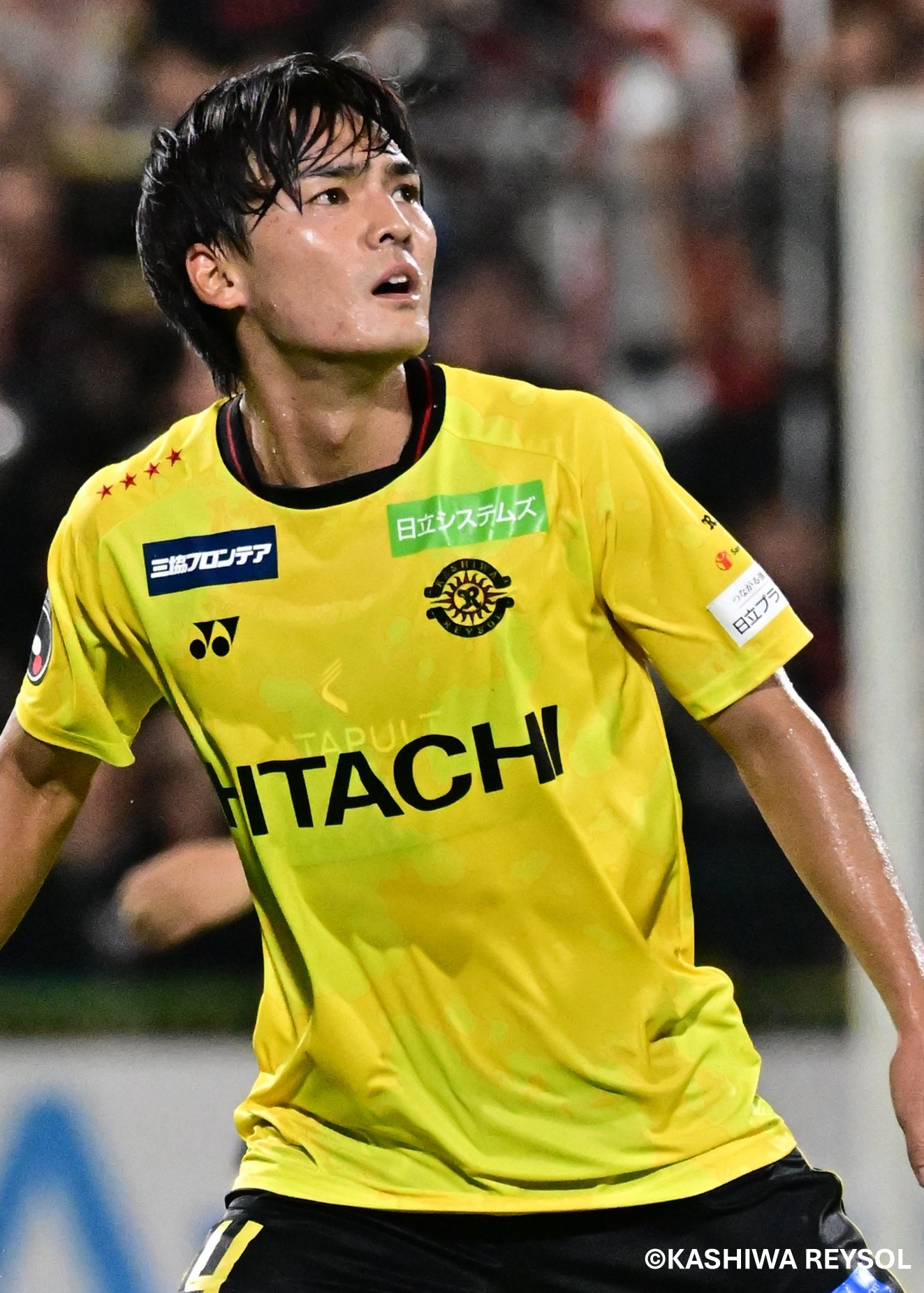 柏レイソル2025シーズンモデル リミテッドユニフォーム 2025リミテッド