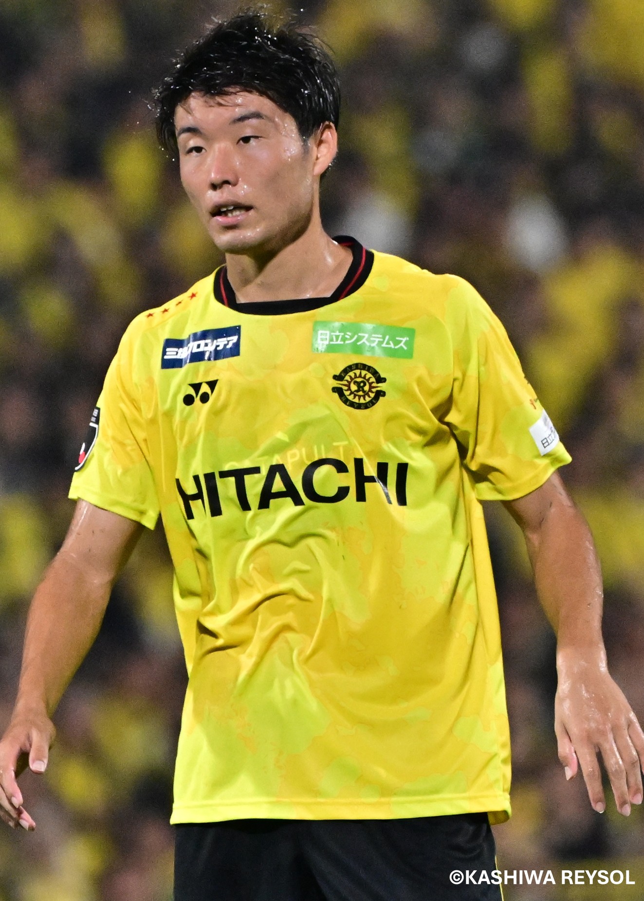 HATTRICK（ハットトリック）-選手の想いをファンへ届ける公式