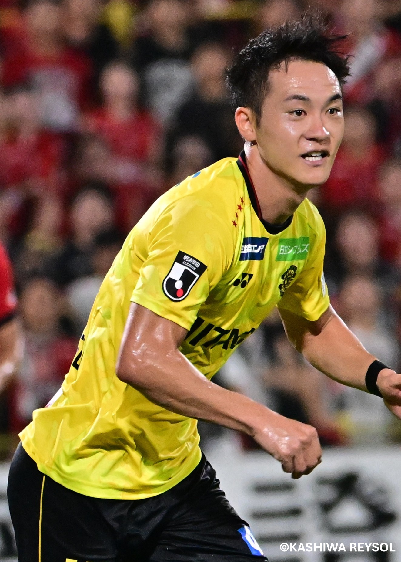 HATTRICK（ハットトリック）-選手の想いをファンへ届ける公式