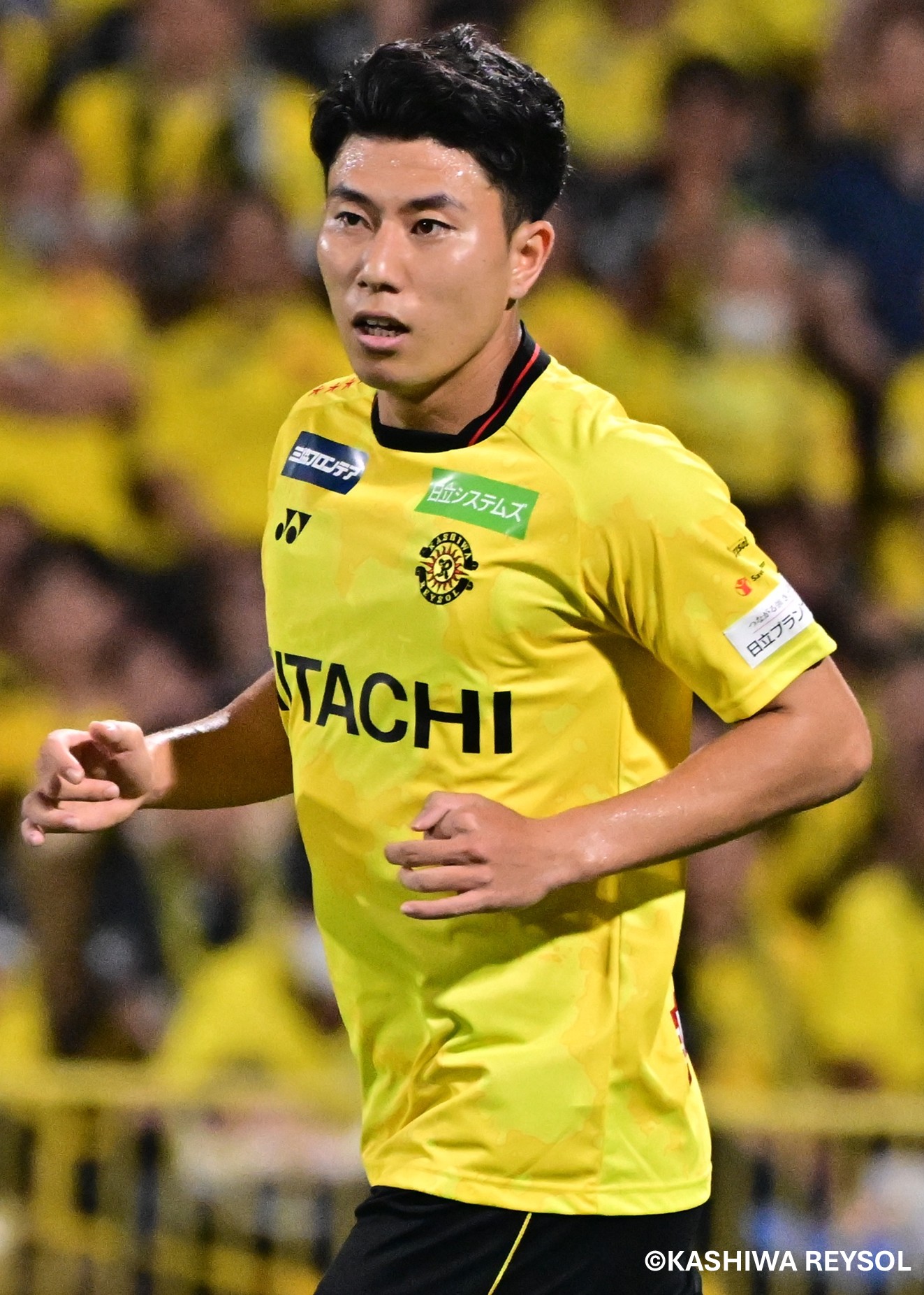 HATTRICK（ハットトリック）-選手の想いをファンへ届ける公式